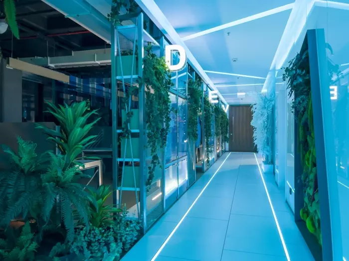 khu vực hành lang trang trí cây xanh tích hợp hệ thống đèn led