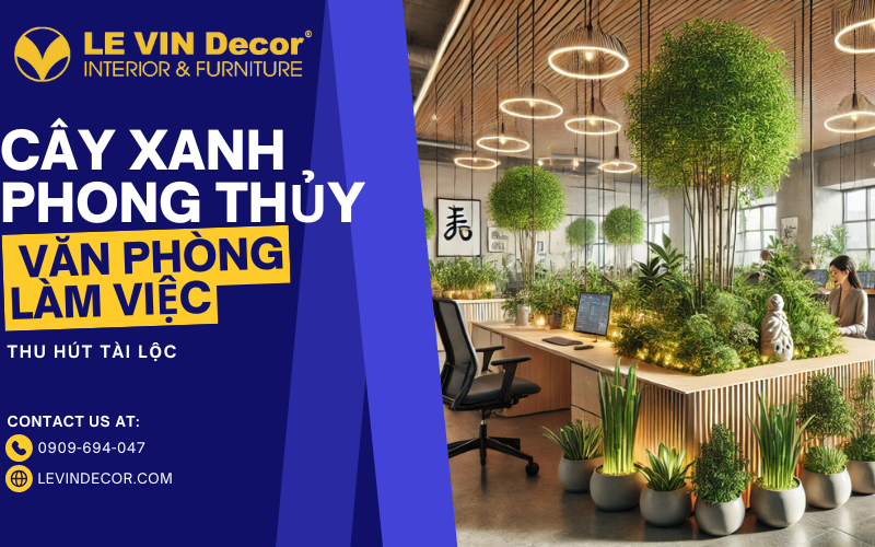 Cây phong thủy trong văn phòng