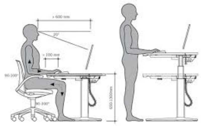 Nhân trắc học bao gồm nhân trắc học động và tĩnh (Nguồn: Internet)