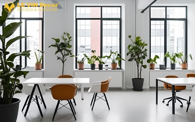 Văn phòng cho startup