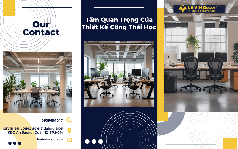 Tầm Quan Trọng Của Thiết Kế Công Thái Học: Làm Mới Không Gian, Đổi Mới Hiệu Suất