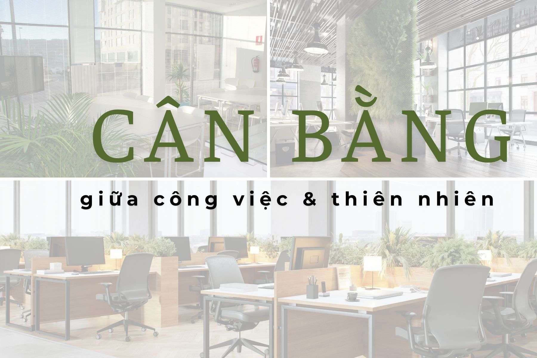 Xu hướng văn phòng xanh