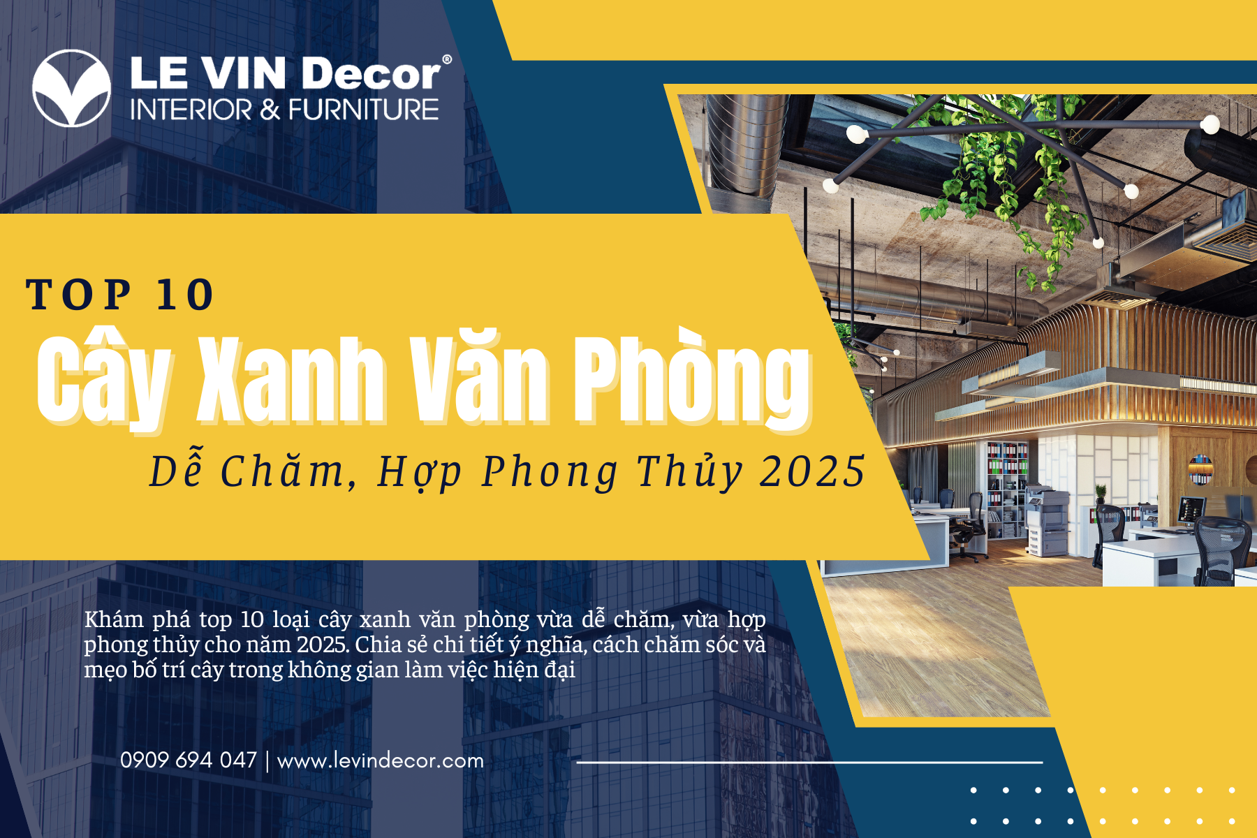 Top 10 Loại Cây Xanh Văn Phòng Dễ Chăm, Hợp Phong Thủy 2025