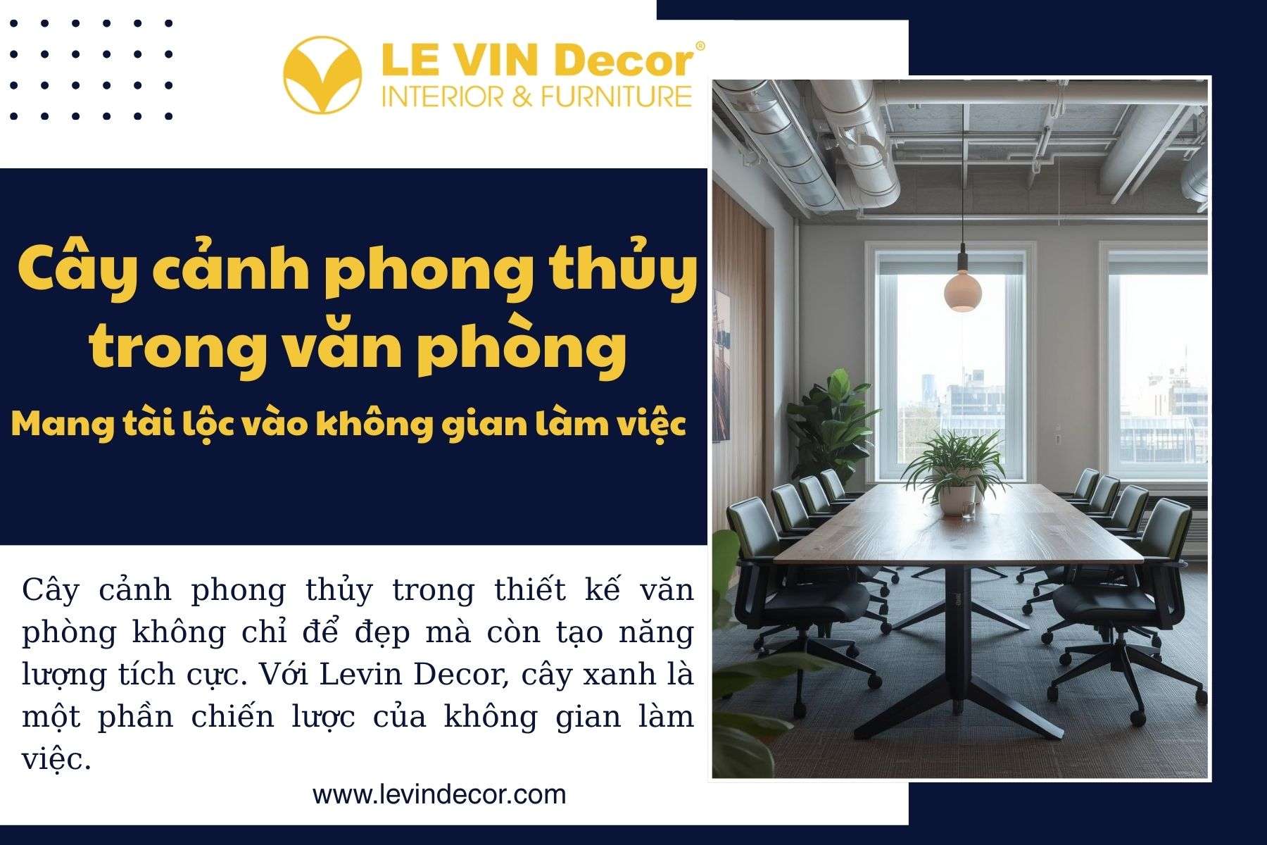 cây cảnh phong thủy trong văn phòng